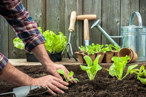 Charity donation of reusable garden items and tools