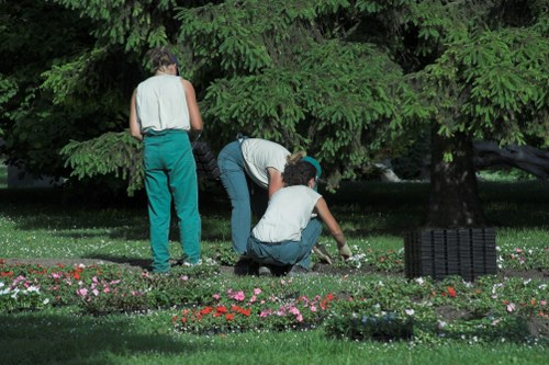 A well-designed landscape garden in Temple with native plants and mulch beds