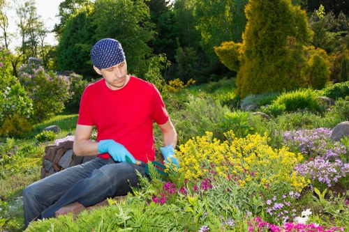 Tree removal and cleanup service in Temple