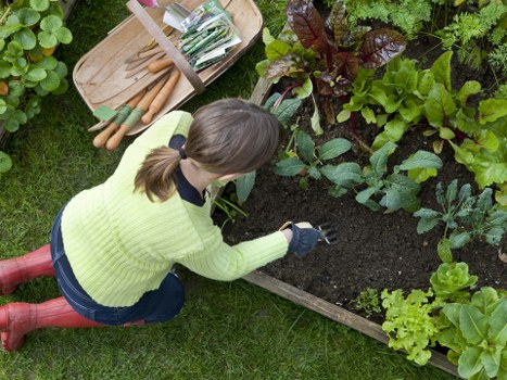 Low-carbon van used for sustainable garden collections