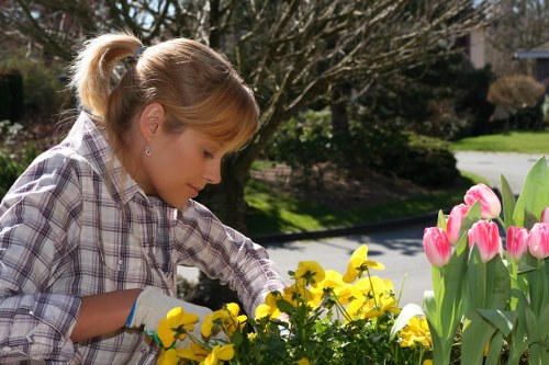 Eco-friendly garden clearance in Temple preparing a property for landscaping