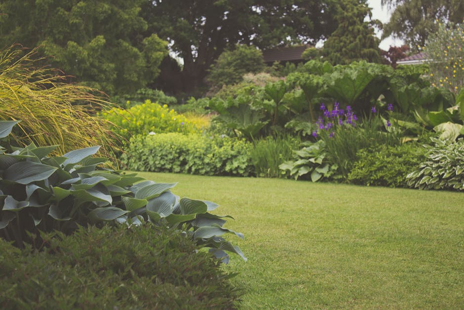 A stone birdbath with a round, shallow basin filled with still water stands amidst a garden bed adorned with vibrant purple heather plants. The heather's small, densely packed flowers create a lush, t