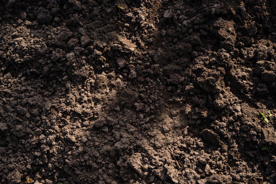 Close-up view of freshly turned heavy clay garden soil showing a dense, crumbly texture with small clumps and fine particles. The soil appears moist and dark in color, indicating recent watering or pr